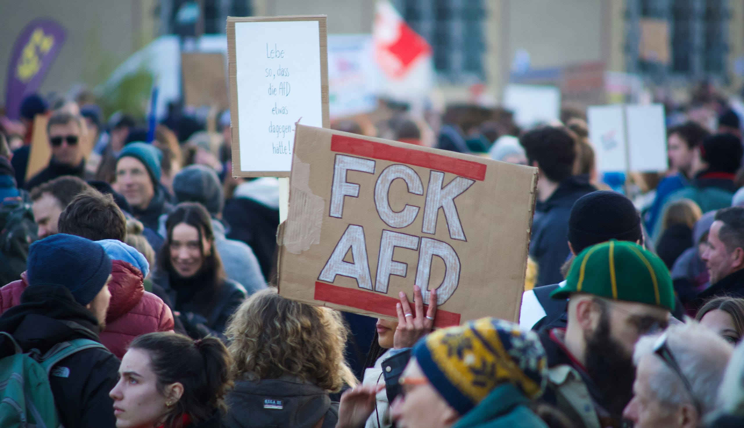 Anti AfD-Demo